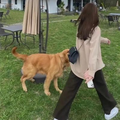 人气女神：拉面食游记