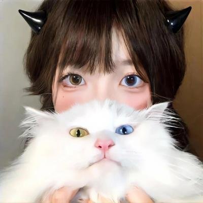 柴堆猫班卓